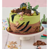 Lola's Cupcakes Dinosaur Vanilla Cake serves 14, UK version