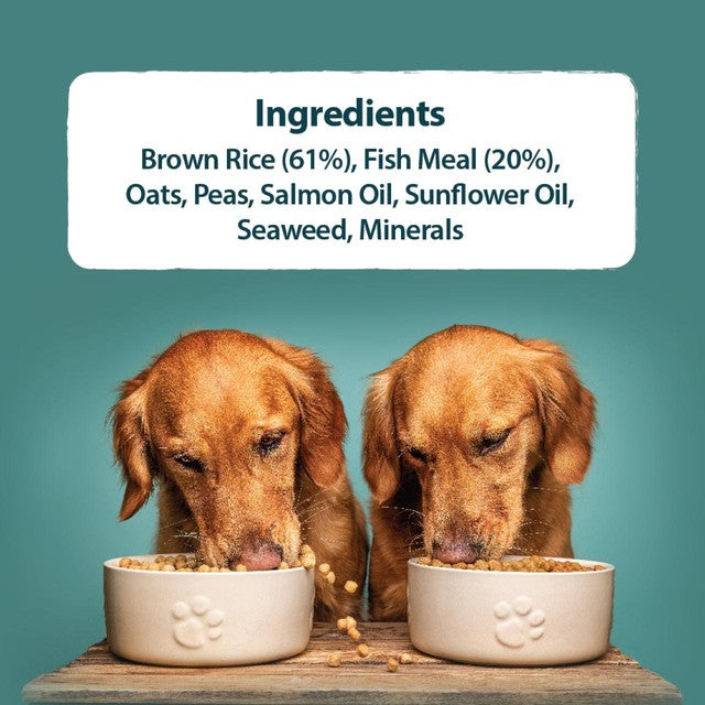 Burns Original Fish & Brown Rice Dry Dog Food 2kg - British product