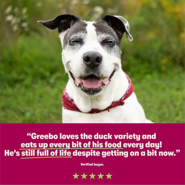Harringtons grain free duck and potato wet dog food 400g, UK version