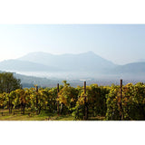 Gaia Notios Red Peloponnese 75cl bottle of wine, UK version