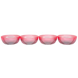 Navigate Ombre Picnic Bowls Set of 4 (British brand)