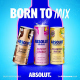 Absolut Espresso Martini canned cocktail 20cl - British product