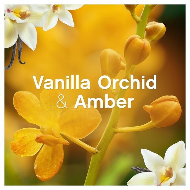 Lenor Fabric Conditioner Gold Orchid 1386ml, UK version
