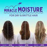 Aussie Miracle Moist Travel Shampoo 100ml - British product