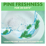 Toilet Duck toilet cleaner strips Pine 27g - British product