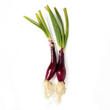 Natoora Fresh Sweet Tropea Onions 200g
