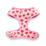 Cocopup Pupberry Fields Adjustable Dog Harness Large