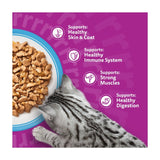 Whiskas wet cat food pouches fish favourites in jelly 80 x 85g (British brand)