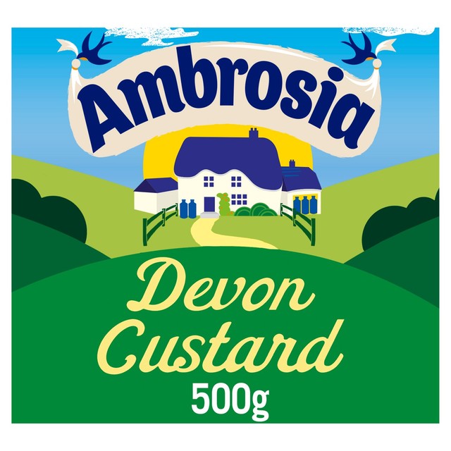 Ambrosia Devon custard 500g carton - British product