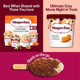 Häagen-Dazs caramel biscuit and cream ice cream 460ml, UK version
