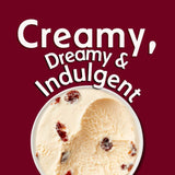 Häagen-Dazs rum and raisin ice cream 460ml, UK version