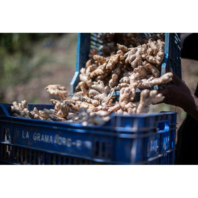 Wholegood organic ginger 120g (British brand)