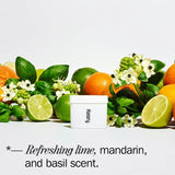 Fussy Deodorant Refill Lime Basil Mandarin (British brand)