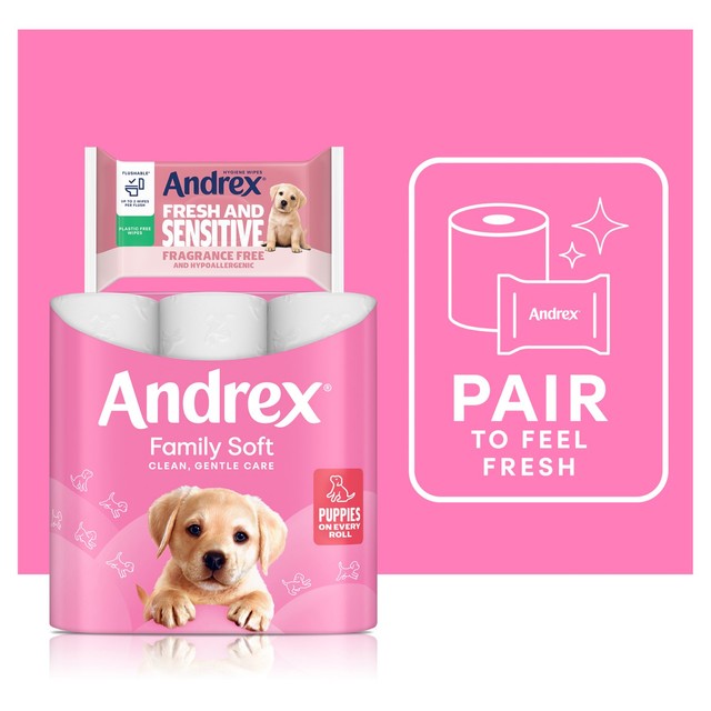Andrex Fresh and Sensitive Hygiene Wipes 30 per pack - British product