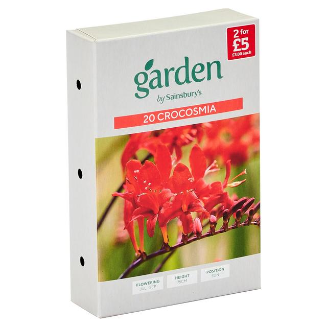 Sainsburys Garden Crocosmia x20