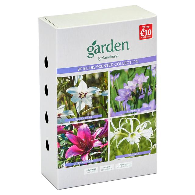 Assorted Garden Flower Bulbs Set with Gladiolus, Freesia, Lilium, and Hyemenocallis – 30 Pieces