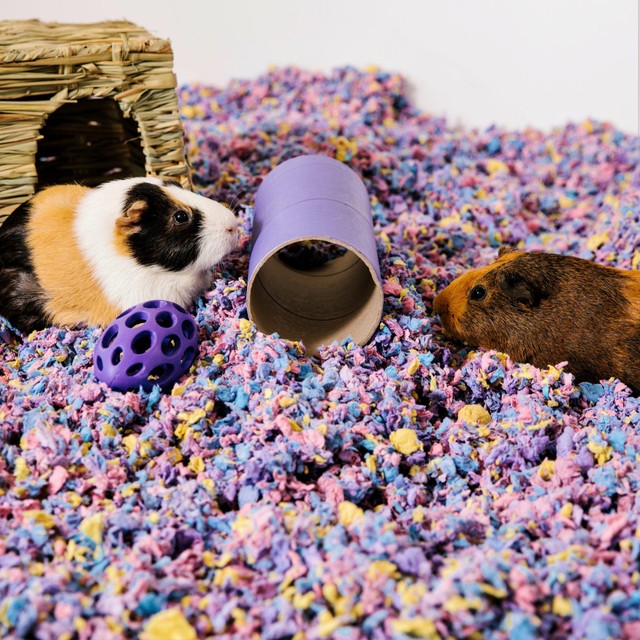 Carefresh Colours Confetti small pet bedding 10L - British product