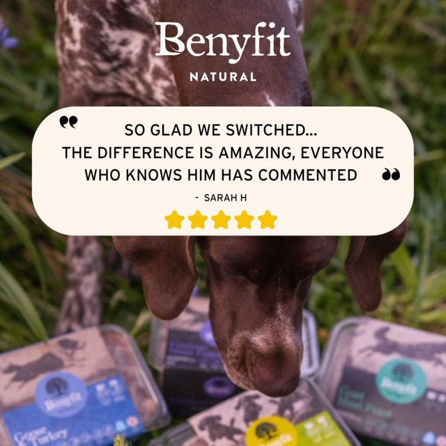 Benyfit Natural tasty turkey raw dog food 1kg - British product