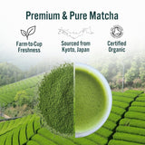 Green Origins Organic Matcha Powder 30g - British product