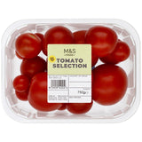 M&S tomato selection 750g, imported from the UK