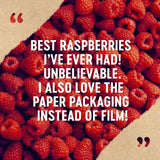 Berryworld raspberries 150g - British product
