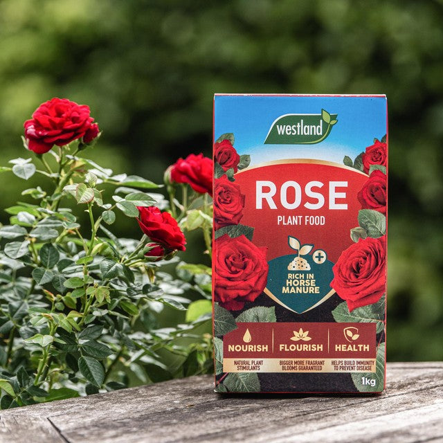 Gro Sure Westland Rose Food Enriched with Horse Manure 1kg (British brand)
