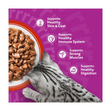 Whiskas wet cat food pouches meaty meals in gravy 12 x 85g (British brand)
