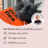 Itch Flea Treatment for Cats 2 pack, UK version