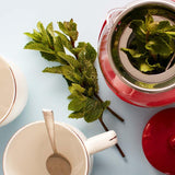 Ocado mint fresh herb 30g, imported from the UK