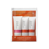 Philip Kingsley Smooth & Shiny Jet Set Travel Size Hair Care Set 225ml