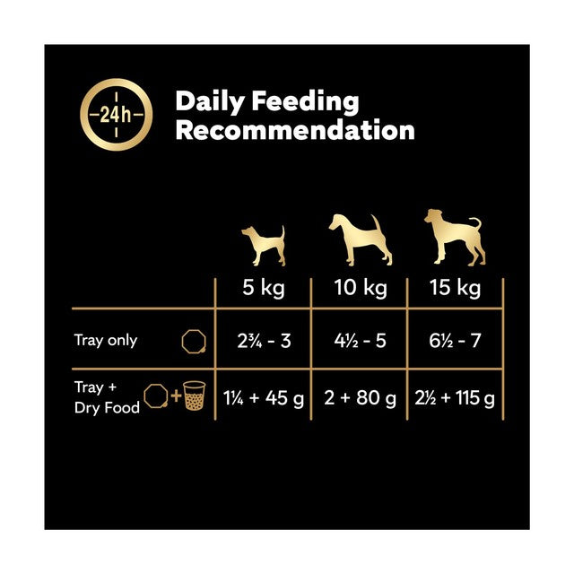 Cesar Country Stew wet dog food trays 8 x 150g - British product