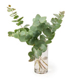 MM Flowers Eucalyptus Flowers 5 Stems 40cm