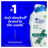 Head & Shoulders itchy scalp shampoo 250ml - British product