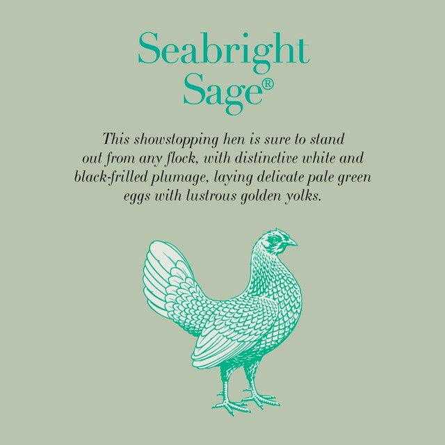 Clarence Court Seabright Sage Eggs 6 pack - British product