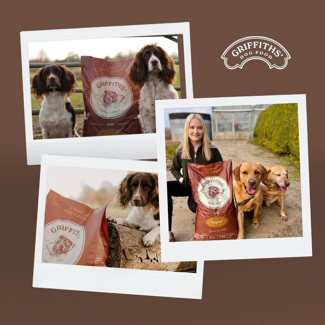Griffiths beef dry dog food 3kg - British product