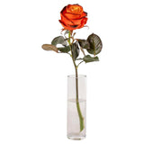 Sainsburys Halloween Rose