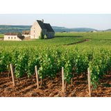 Louis Jadot Pouilly Fuisse Chardonnay white wine 75cl, UK version