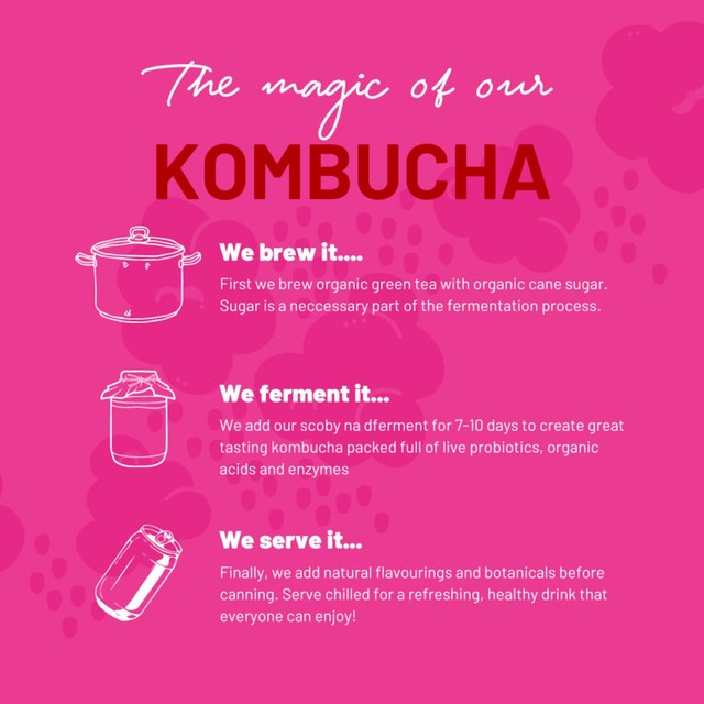 One Living Raspberry Kombucha Multipack 4 x 250ml, imported from the UK