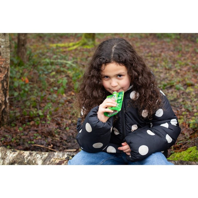 GoGo squeeZ apple fruit smoothie snack 4 x 90g pouches, UK version