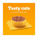 Pedigree wet dog food pouches mixed in jelly variety pack 12 x 100g, imported from the UK