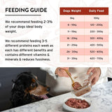Benyfit Natural beef and tripe raw dog food 1kg - British product