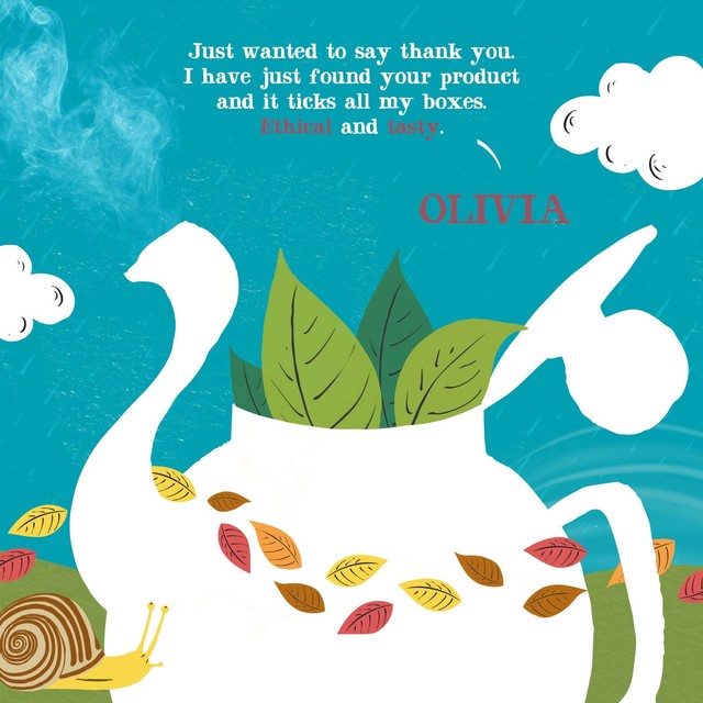 Clipper English Breakfast tea bags 80 bags - British product