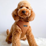 Cocopup Paddington Teddy dog harness medium - British product