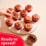 Betty Crocker Chocolate Fudge Icing 400g - British product