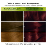 Garnier Nutrisse Ultra-Colour Dark Cherry permanent hair dye, UK version
