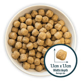 Burns Original Fish & Brown Rice Dry Dog Food 2kg - British product