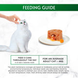 Gourmet wet cat food chicken 85g, UK version