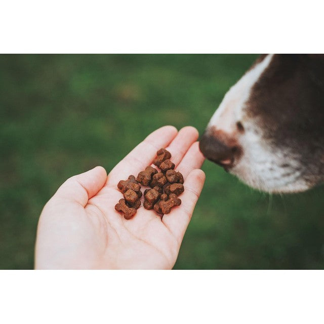 Clydach Farm grain free poultry dog treats 500g - British product