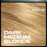 Clairol root touch up spray dark to medium blonde - British product