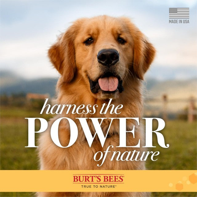 Burt's Bees oatmeal dog conditioner 284ml - British product